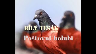 Miniatura de vídeo de "BÍLÝ TESÁK -  Poštovní Holubi  (Official Video)"
