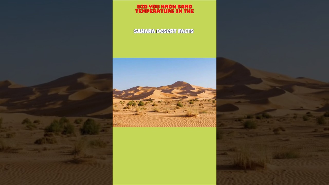 Sahara Desert is So Hot, You Can Cook Eggs 
