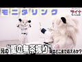 【モニタリング】もしも兄レオから「愛の無茶振り」をされたら妹ライナはどこまで応える！？【ホワイトデー特別企画／兄妹愛検証】