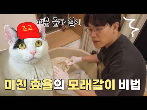 손에 물 안 묻히고 10분 만에 화장실 모래 청소하는 비법