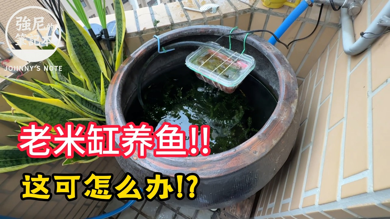 這魚缸可怎麼辦啊? 縮圖
