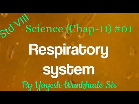 Std VIII (Science) 11: Human body and organ systems #01