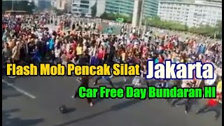 Flash Mob pencak silat JAKARTA - Car Free Day Bundaran HI