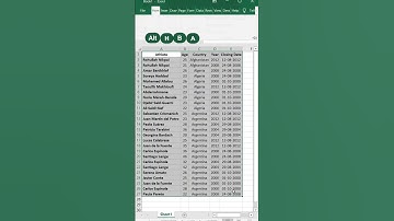 Quick and Easy Border Formatting with Shortcut Key! #shorts #shortsvideo #excel