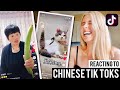 Reacting to hilarious Chinese Tik Toks