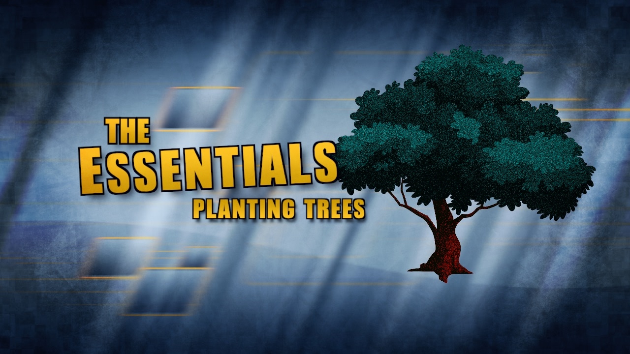 Tree Species Highlight  Edmond, OK - Official Website