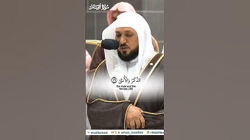 أيحسب الإنسان أن يترك سدى_ تلاوة مرئية من صلاة المغرب 14 صفر 1446هـ_الشيخ ماهر المعيقلي_ #quran