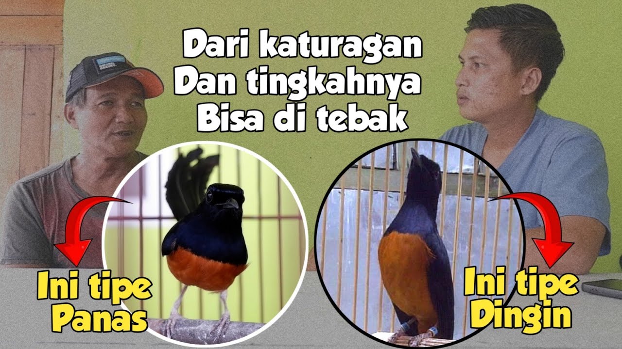 ХАРАКТЕРИСТИКИ МУРАЙ-БАТУ ГОРЯЧЕГО И ХОЛОДНОГО ТИПА И КАК ЗА НИМИ УХОДИТЬ