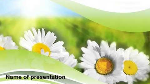 Camomile In The Fields PowerPoint Template by PoweredTemplate.com