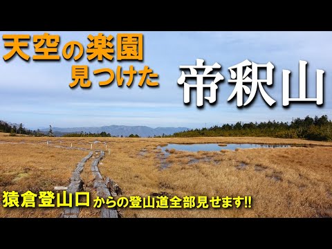 【登山体験】帝釈山、天空の楽園を越えて幻の名山へ！／猿倉登山口からの登山道全部見せます！／2023/11