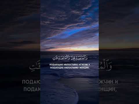 الشيخ محمد اللحيدان نشر ذكر أجر قرآن اكسبلور راحة نفسية