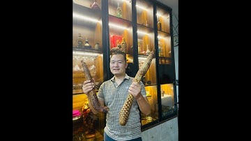 Nhục Thung Dung tươi có tác dụng gì? mua ở đâu?