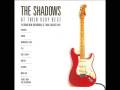 The Shadows - Theme for young lovers
