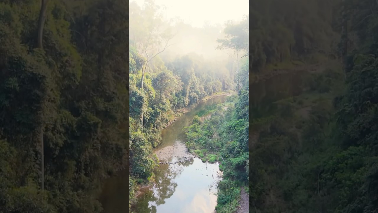 Booloumbah Creek
