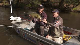 Gwydir River Murray cod screenshot 3