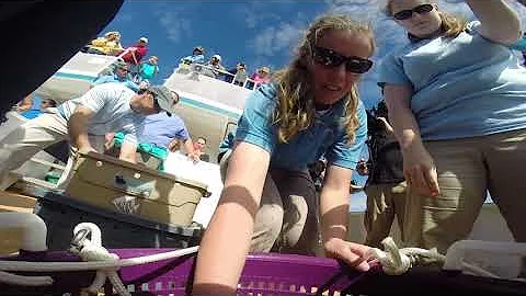 Aquarist/Seashor...  Specialist - Michelle Lamping