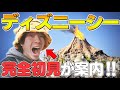ディズニーシー初見のゲーム実況者にアトラクションをランク付けしてもらおう ぽみそしる ディズニーシー初見のゲーム実況者にアトラクションをランク付けしてもらおう ぽみそしる