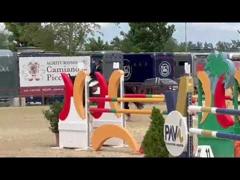 Liyanna ter Wijnen CSIYH 7 yo Montefalco W2