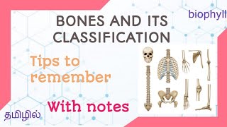 ALLIED HEALTH SCIENCES | Anatomy and physiology | Bones and its classification in tamil with notes |