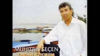 hevesmi sandin