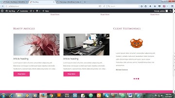 Html to WordPress - Part 7  - Add posts to home page
