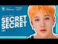 Stray Kids — Secret Secret • Line Distribution || MinLeo