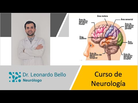 Curso de neurología aprende fácil y rápido