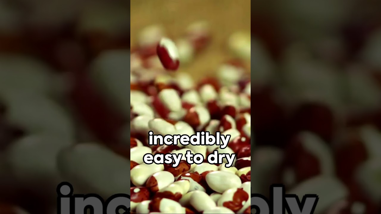 Crisis Proof Crops  Easy Foods to Grow 