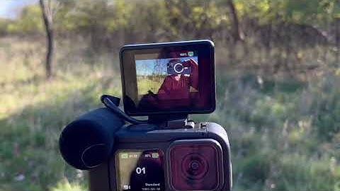 Using the GoPro Display Mod on a sunny day, can you see the screen?