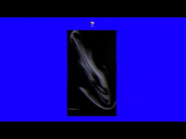 Stream Wise Mystical Tree by AsmmeTrkL2