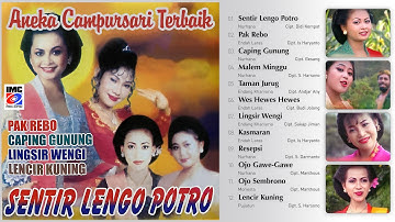 Aneka Hit Campursari Terbaik (Full Album) IMC Record Java