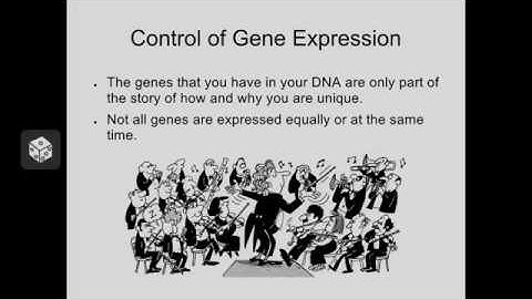 Ch 18, Parts 1  Control of Gene Expression Intro