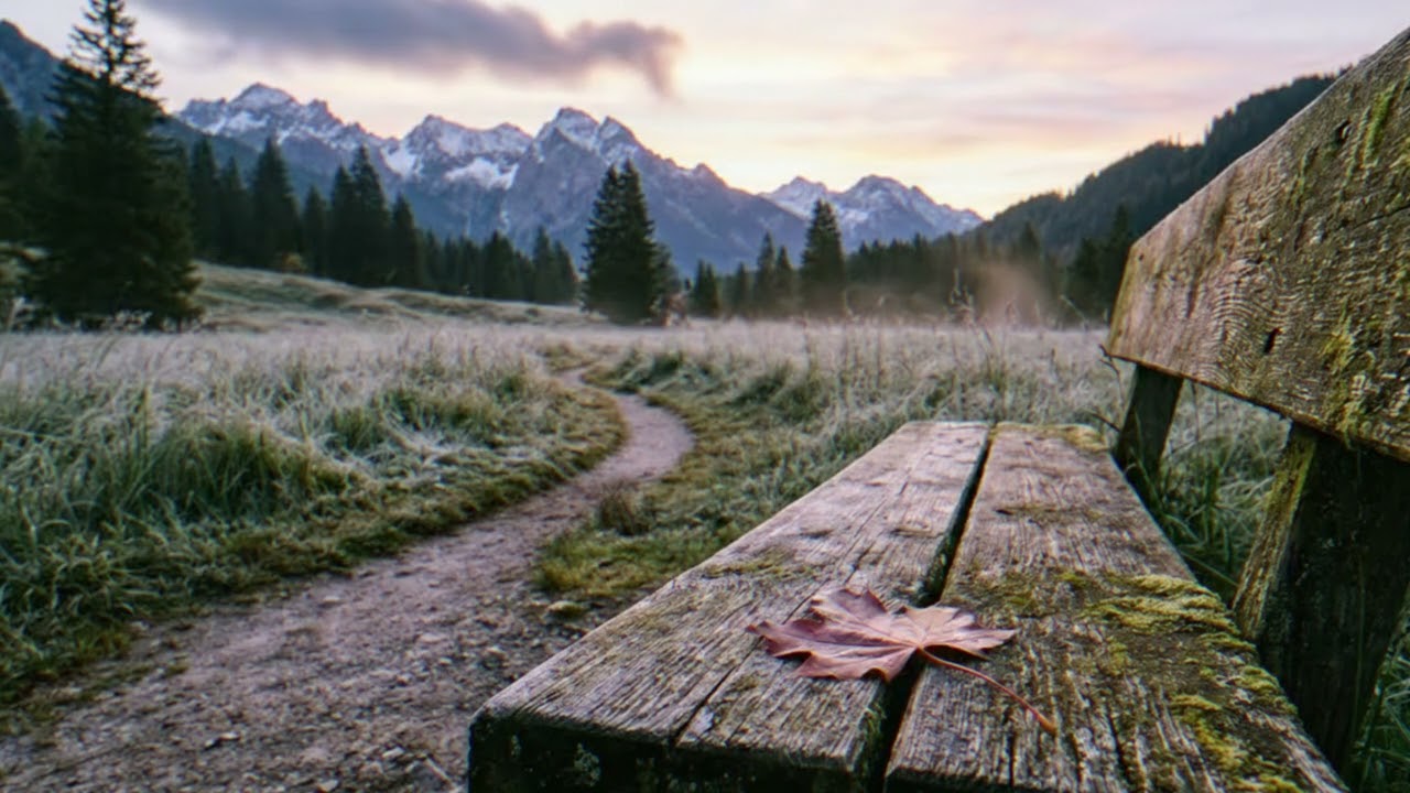 Soft Horizon - Calm Cinematic Motion | Atmospheric Motion Vol. 1