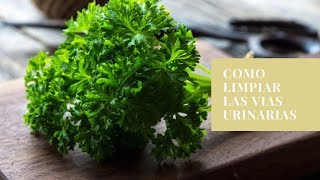 4 Parsley Remedies to Cleanse the Bladder and Urinary Tract screenshot 5