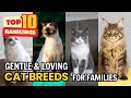 Top 10 Best Cat Breeds for Families with Kids 🐱❤️ | Perfect Family Cats 2025
