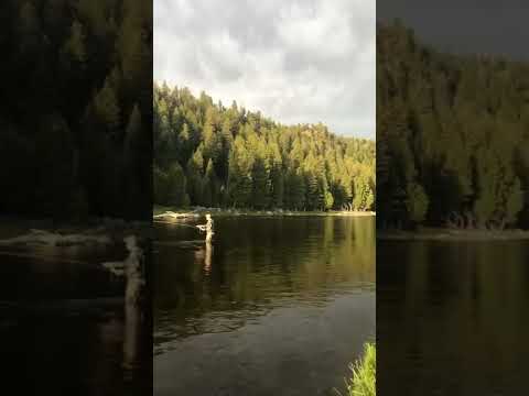 Fly Fishing in Yellowstone