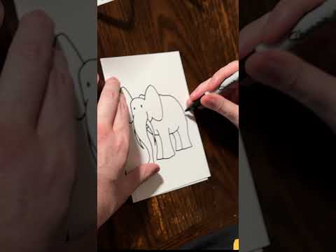 Drawing Request Elephant Bird Autism Artist