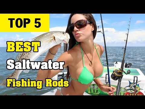 Top 5 Best Saltwater Fishing Rods 2023