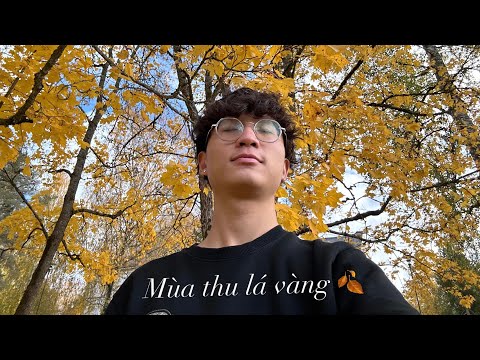 lễ tại nhà thờ và mùa thu lá vàng ở phần lannnnnn | benlyphan