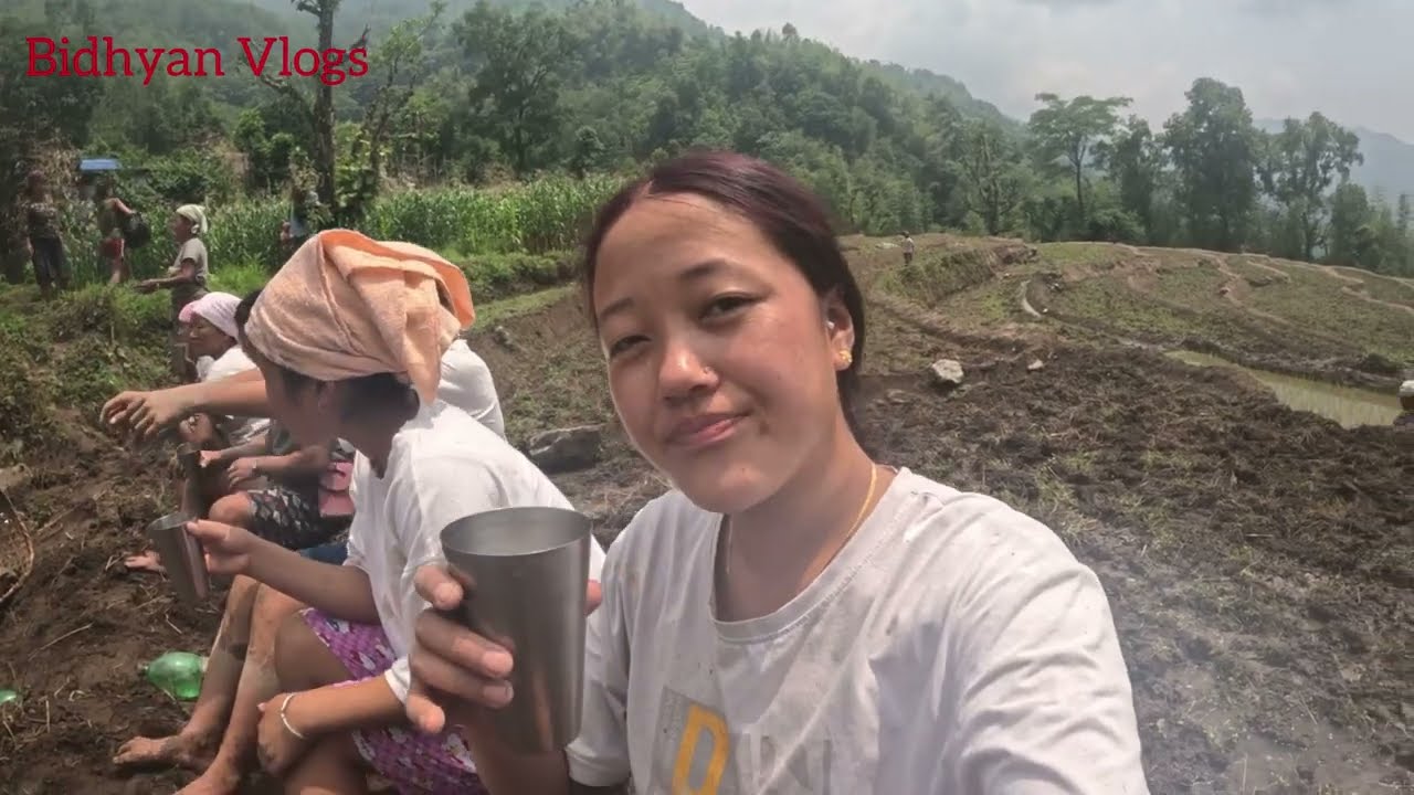 Hamro tira dhan ropai suru vayo  hai sathi haru