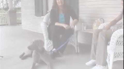 Taking SafeStart Home - Part 1 (English)