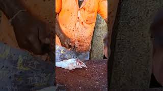 You Never Seen Before!! #Oddlysatisfying #Fishcutting #Fishcutting_Skills