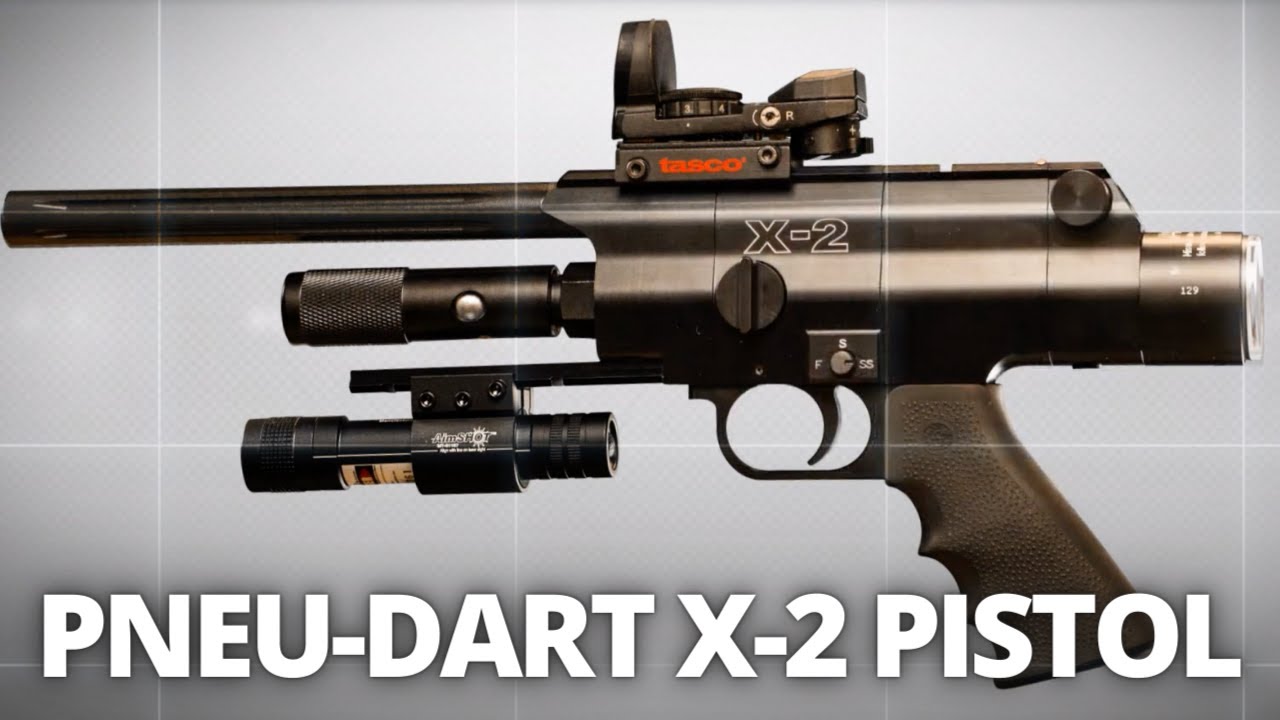 THE ULTIMATE GUIDE TO THE PNEUDART X2 CO2 GAUGED PISTOL YouTube