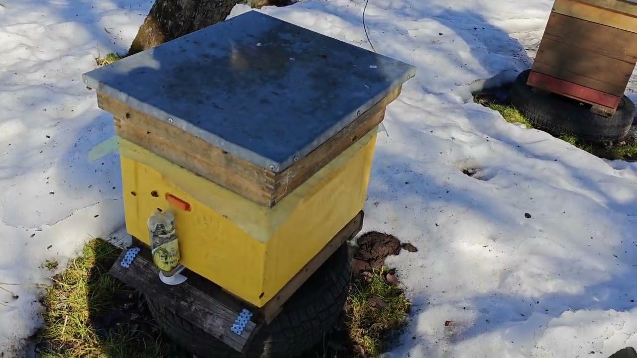 11 марта 2026 г.