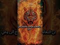 لسنا شيئا احتياطيا لأحد كلام من ذهب اكسبلور اقتباسات اقوال تيك توك تحفيز Motivation 