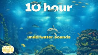 10 hour of Underwater Sounds🌊 Ambient Soundscape for Focus, Relax &amp; Sleep
