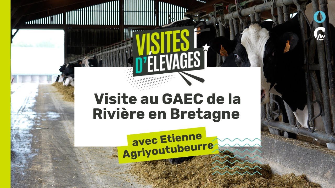 Visites d’élevage - Etienne AgriYoutubeurre vous emmène au GAEC de la Rivière en Bretagne