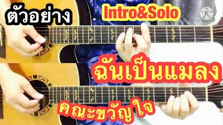 ฉันเป็นแมลง : คณะขวัญใจ [Intro/Solo]