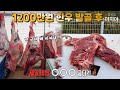 한우!!1200만원?하지만 플랙스~!!젤비싼 부위 돌판에 굽자!