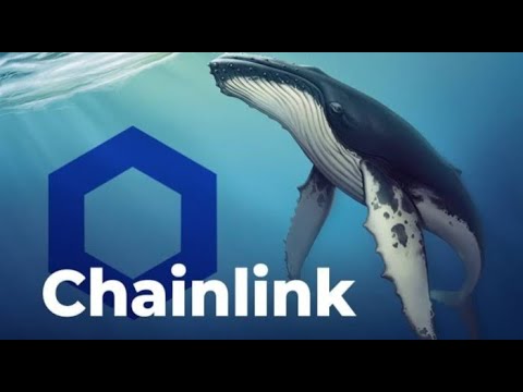 Update Harga Chainlink Setelah Whale Terkenal Bertaruh Besar Pada LINK! Apa yang Terjadi?